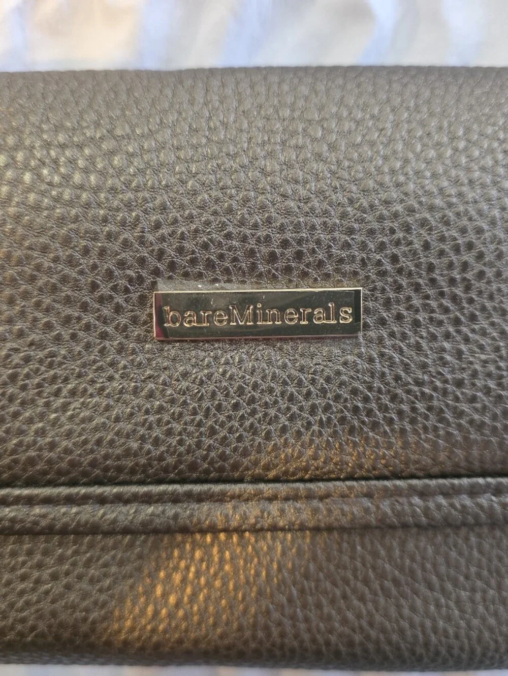 bareMinerals Metallic Taupe Makeup Brush Travel Case